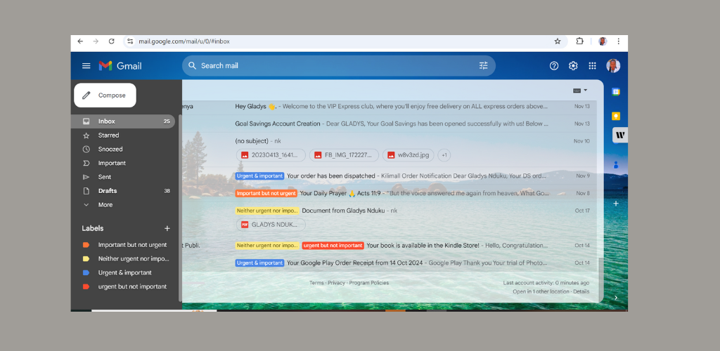 email management virtual assistant